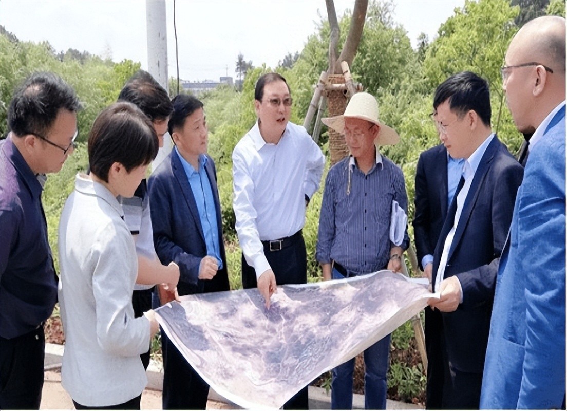 董卿老公失联半年，公司被退市，百亿富豪梦碎上海滩