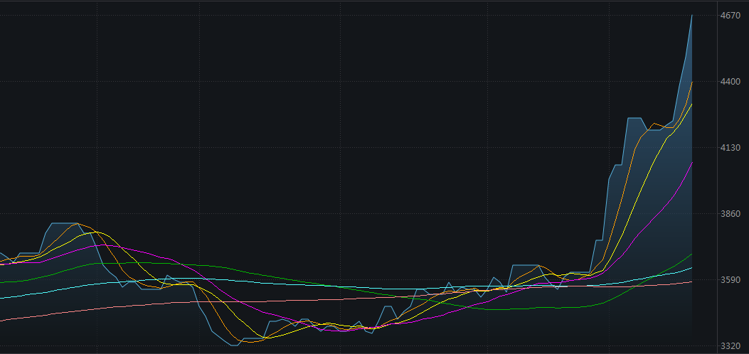 牛钱生猪周报（2022.2.25）