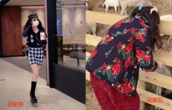 大学生放假前后反差走红，阳光男神回家抓猪，反差之大笑翻网友