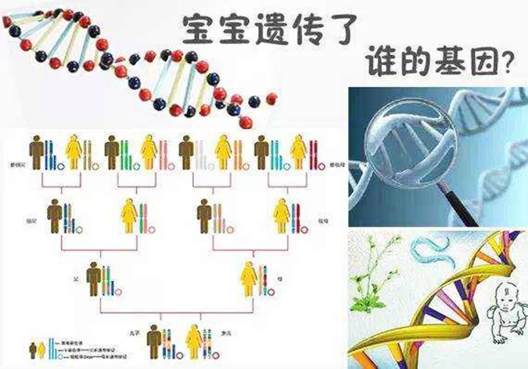 各种奇奇怪怪的遗传：娃睡觉时大拇指翘起的姿势，跟他爸一模一样