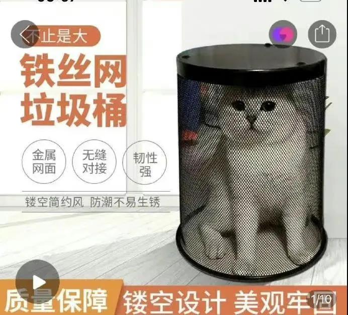 沙雕网友日常：文案撩得很追你又不肯，私信还叫我滚无情又残忍