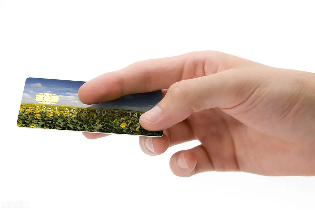 国内十大支付平台