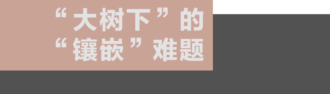 诗意的镶嵌 ── 兰州理工大学西校区图书馆 / UAD浙大设计