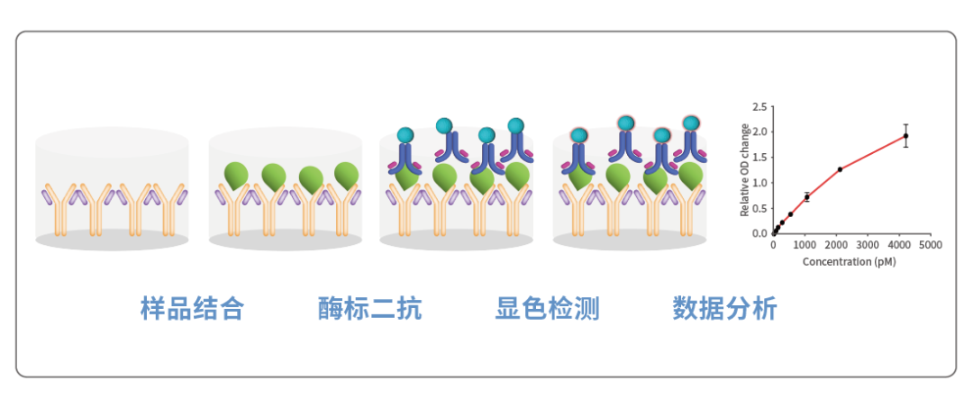 孵化企业动态 | 量准发布WeSPR HT96全自动多功能分子检测仪