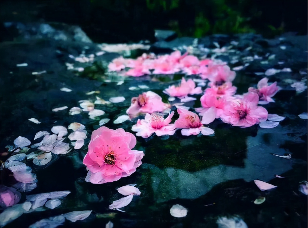 一往情深深几许？深山夕照深秋雨——十二句唯美的古诗词佳句