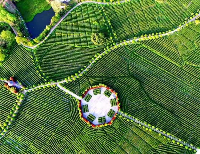 2022�����ɺ��²迪�� ������������������Ļ