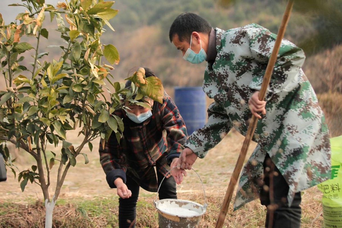 陽(yáng)新楓樹下村“田園黨建”模式讓村民爭(zhēng)做“美麗楓樹下”主人翁