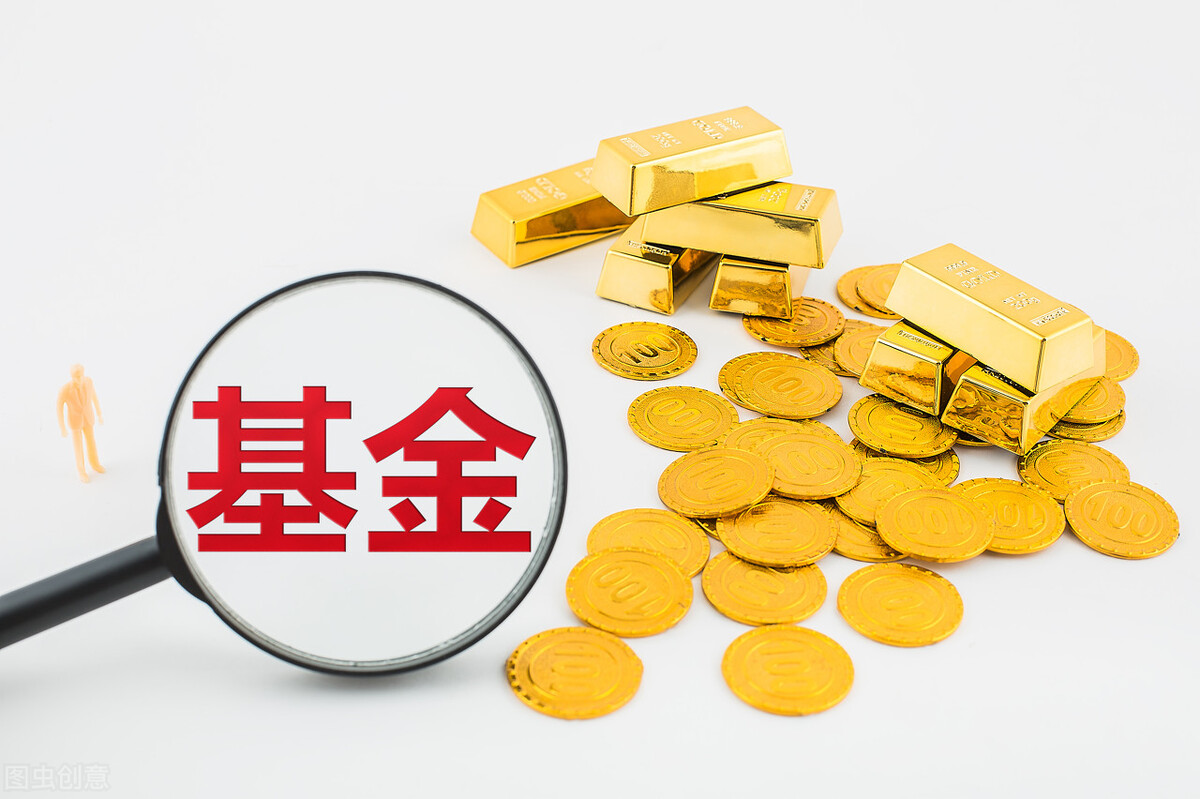 「型基金基金」什么是混合型基金（混合型基金有什么特点）