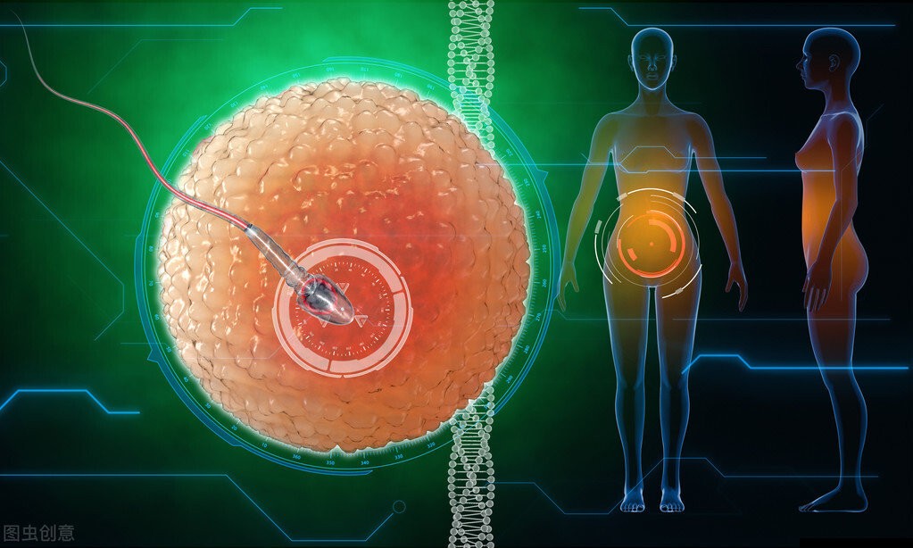 科学家拍到：精子和卵子结合的那一刻，真的会瞬间爆发出巨大闪光