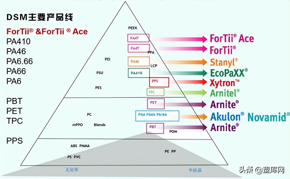 煤矿里走出的「皇族」：帝斯曼的120年