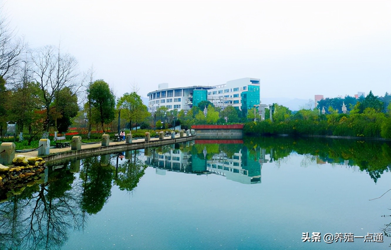 胡国良，江西农业大学动科院院长、教授、博导，动物疾病专家