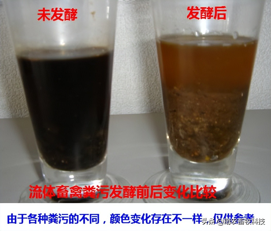 养殖场废水两种低成本快速处理技术，短时间解决环保问题