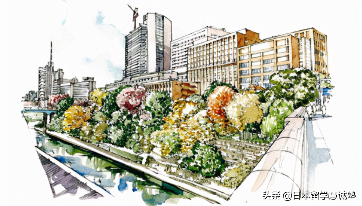 日本留学出愿指南：东京医科齿科大学