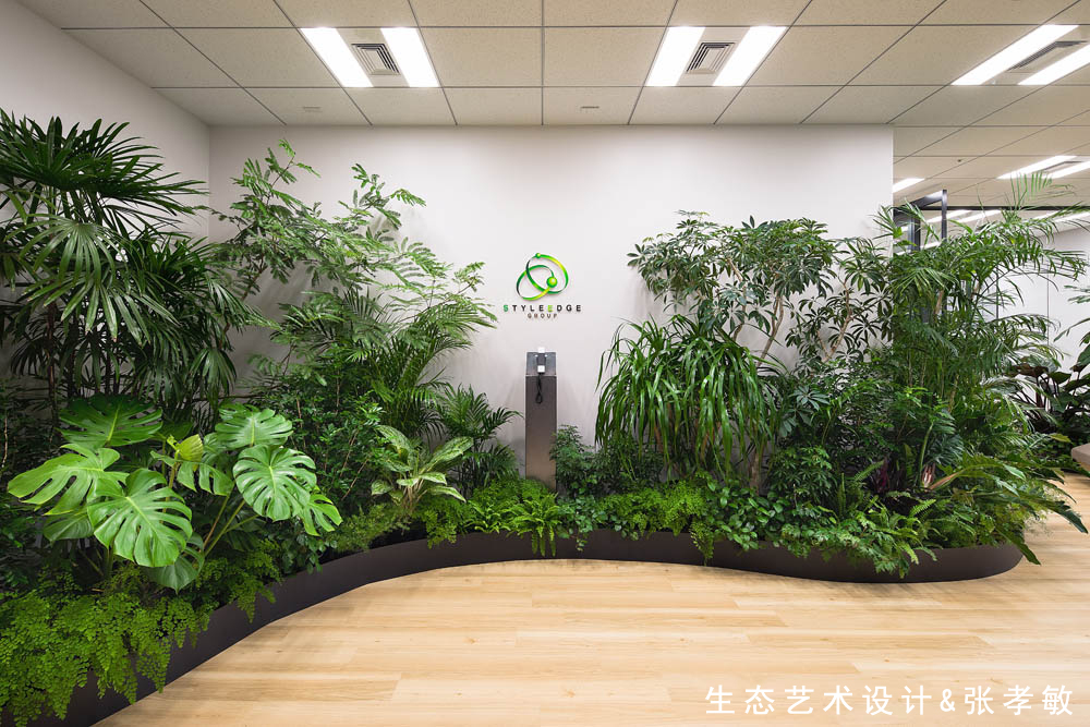 300平办公室室内绿化