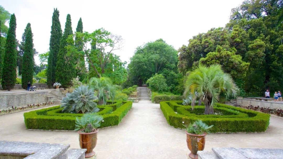 蒙彼利埃第三大学(蒙彼利埃植物园 Jardin des plantes de Montpellier)