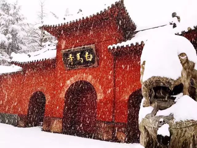 河南：一部河南史，半部华夏册，“豫”见中国的大美之地