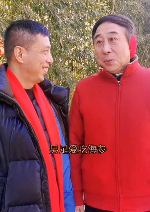 为什么足球比赛输了(输越南原因曝光！董路渔翁得利，巩汉林冯巩说对了一半，国足太难)