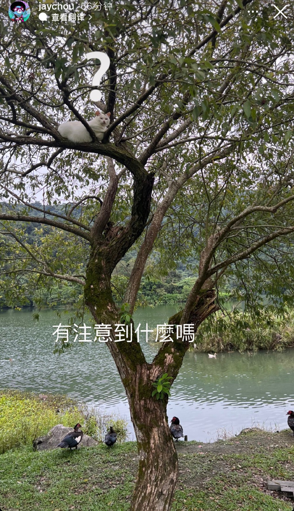 昆凌晒产后出游照，母子同框像姐弟，周杰伦被儿女围绕享天伦之乐