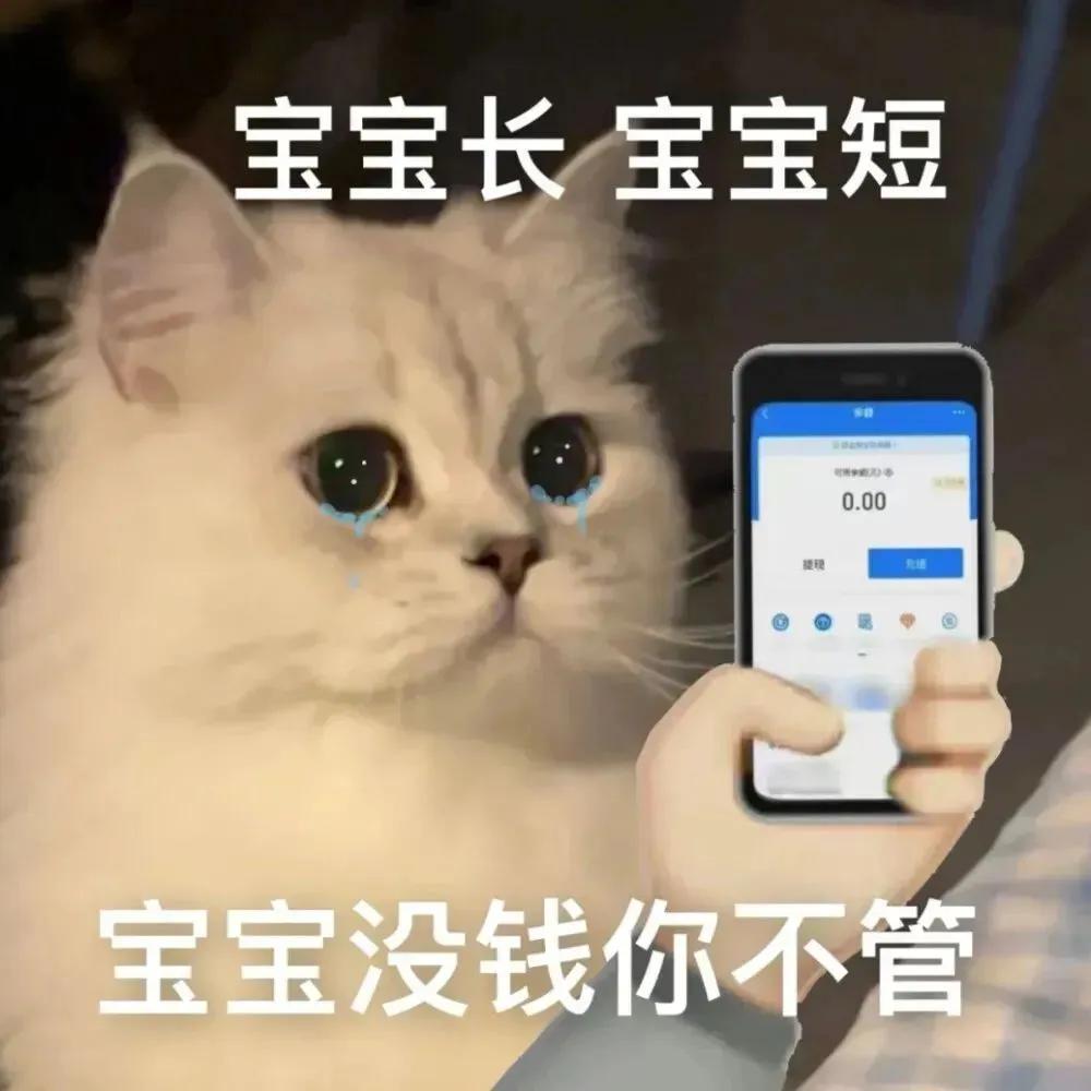 搞对象用的可爱猫咪表情包 谁又会在乎我的感受呢