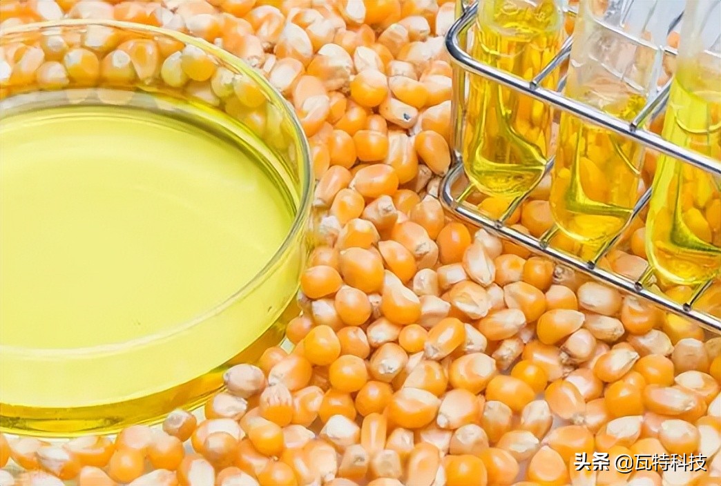 在碳中和以及节能环保大背景下，投资造富的产业机会