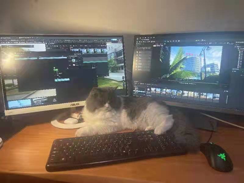 Ԫ桱Ʒˣ人һУҵöĸУ