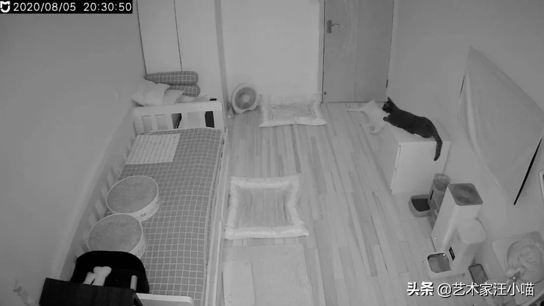 青年单身公寓应该如何设计？