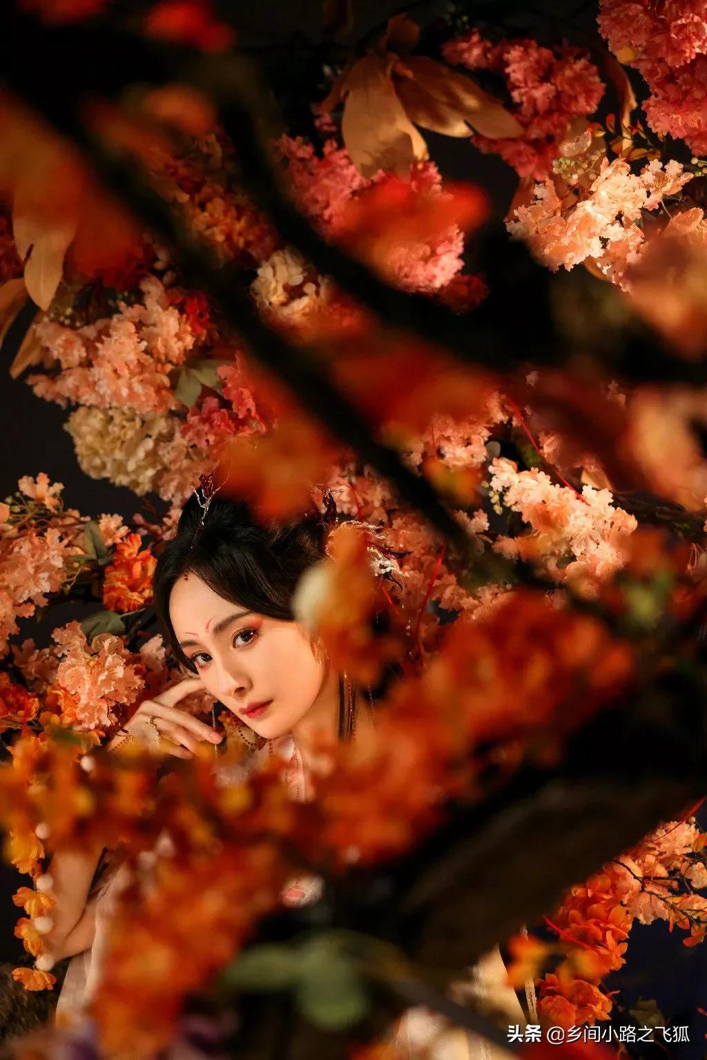 今日《狐妖小红娘月红篇》正式官宣，杨幂饰演山红红花絮照来了