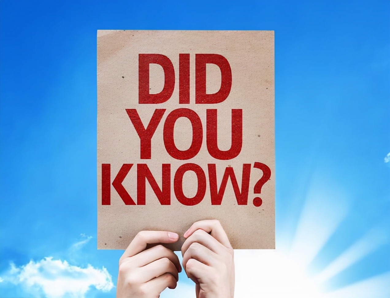 90后青岛小哥，通过电商阿里招商团长，11个月狂赚130万