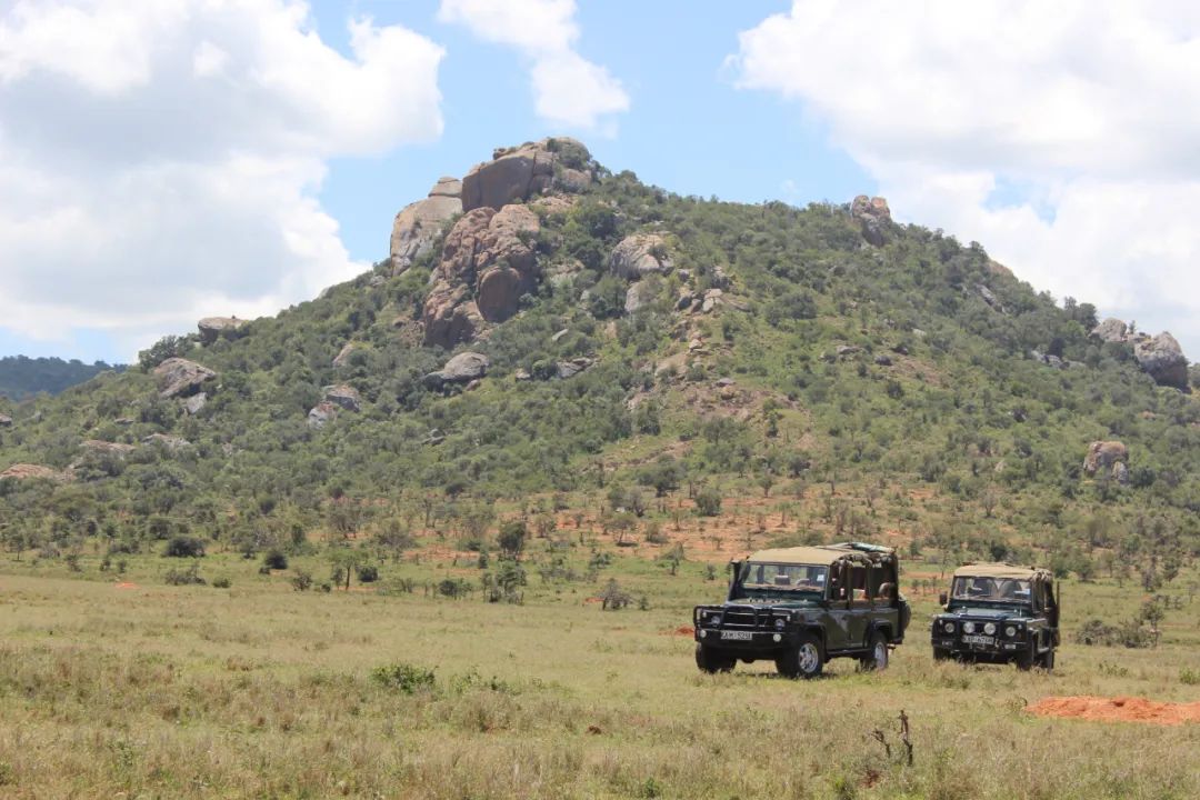 迪士尼动画工作室官方梳理保姆级动画电影制作详细攻略