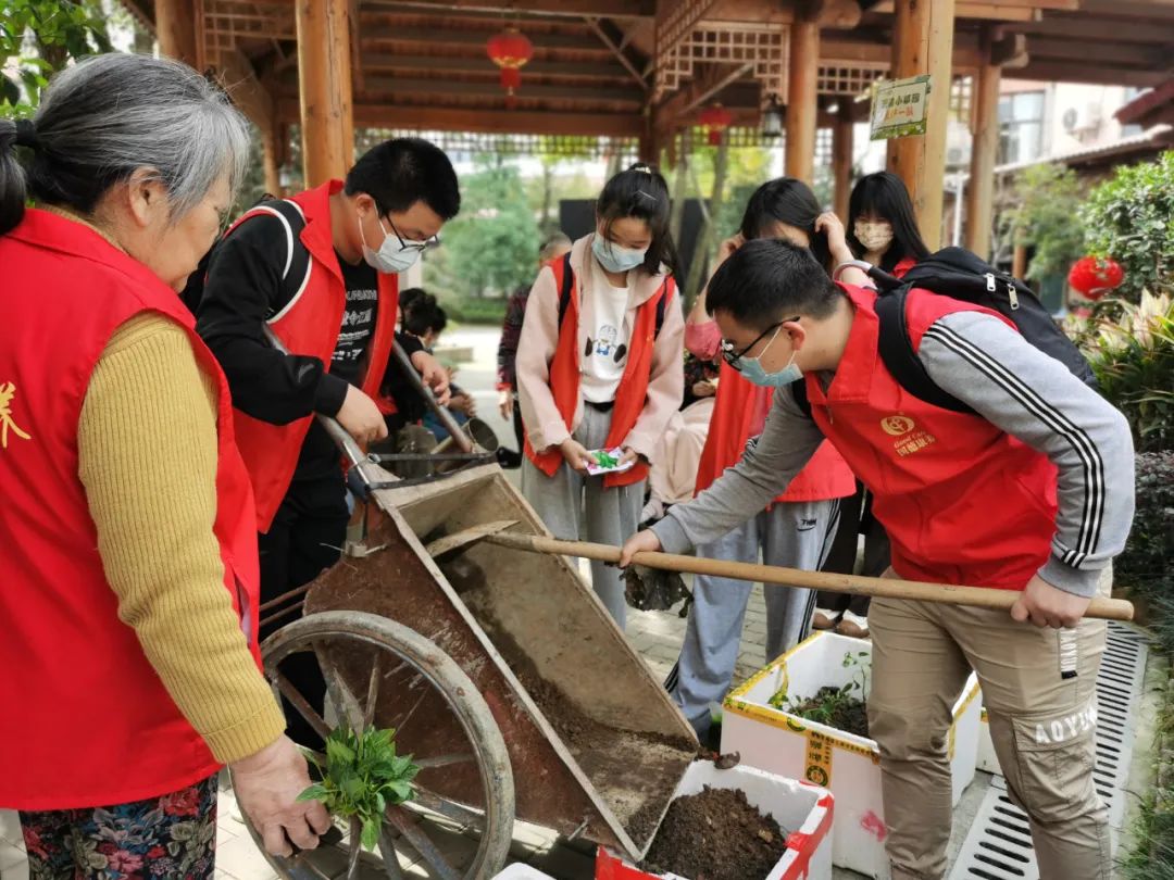 不亦乐乎！养老院可以种菜了