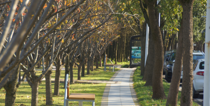 我国最好的2所师范大学，录取分数特别高，但考上就业很吃香