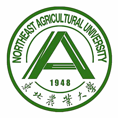 最新2022年黑龙江省大学排名出炉：哈工大继续领跑