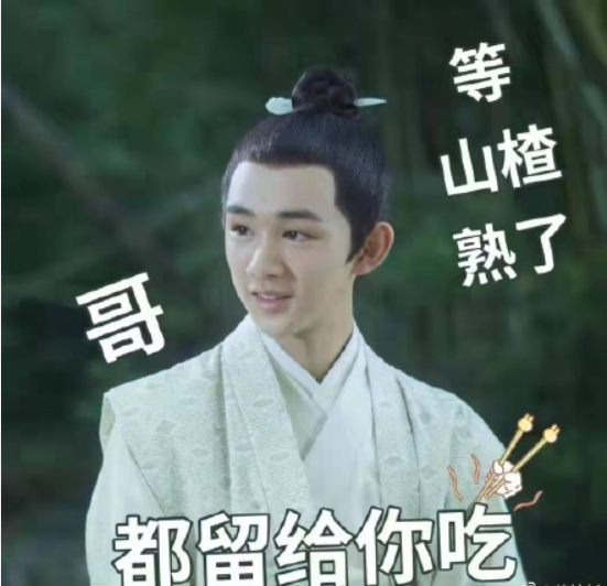 雪中悍刀行大结局来了？你更看好哪个结局？真的只是为了复仇？