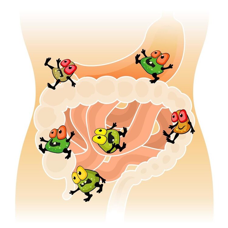 吃完饭有便意，是肠癌信号？上厕所出现4种异常，或是身体拉警报