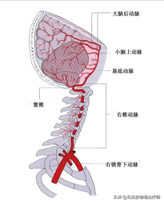 患了颈椎病，会有哪些症状？该如何治疗？