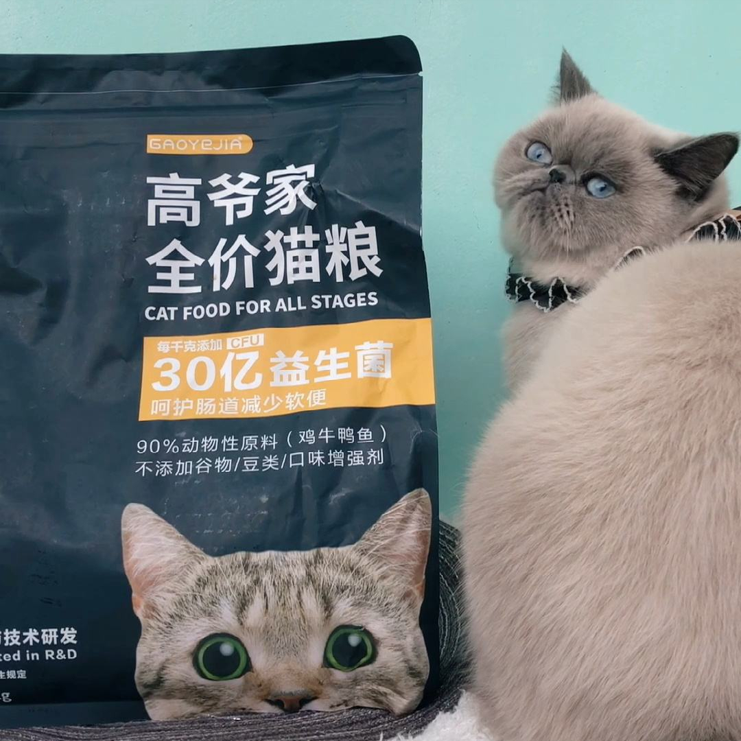 养猫必看：5款热门猫粮测评，选粮不迷茫