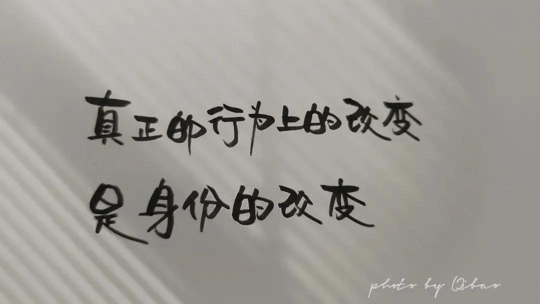 掌控习惯：你是谁不重要，你想成为谁很重要
