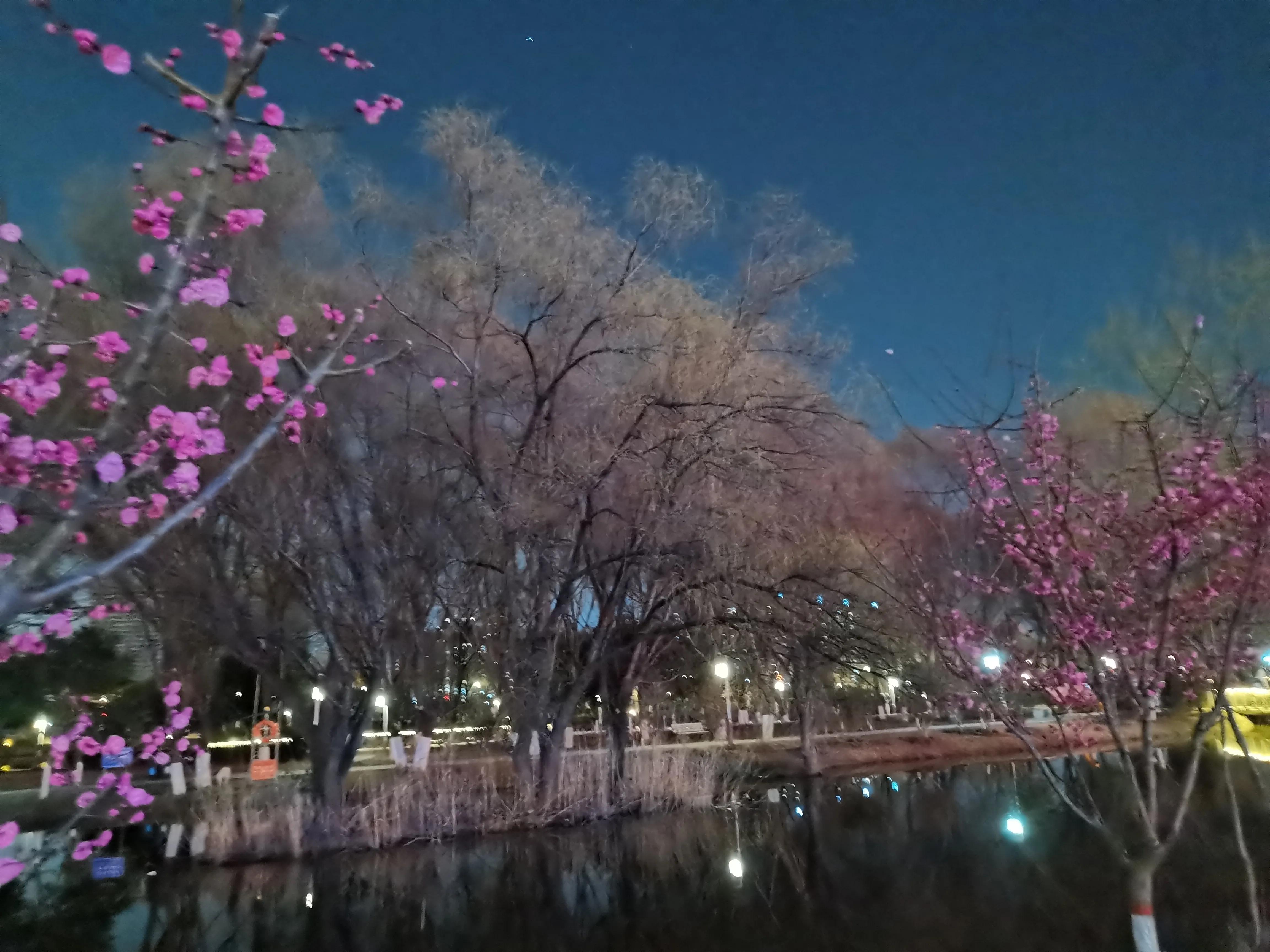 關於湖邊夜景的唯美句子