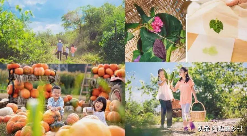 家庭农场、休闲农业植入“亲子”业态，如何与市场对接？五大技巧