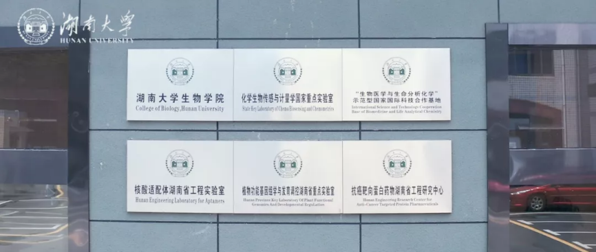 正式揭晓！这位全国一等奖获得者，来自湖南，现已直博985！