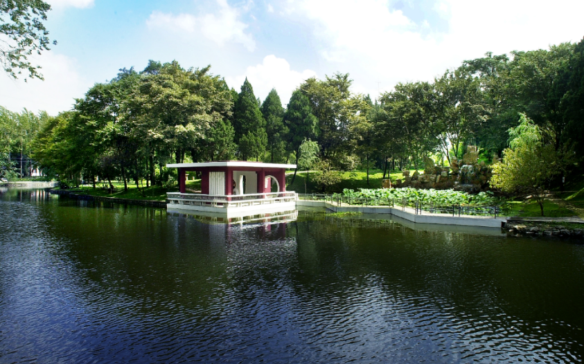 这3所大学被称为984.5，虽然只是211，但实力不比985差