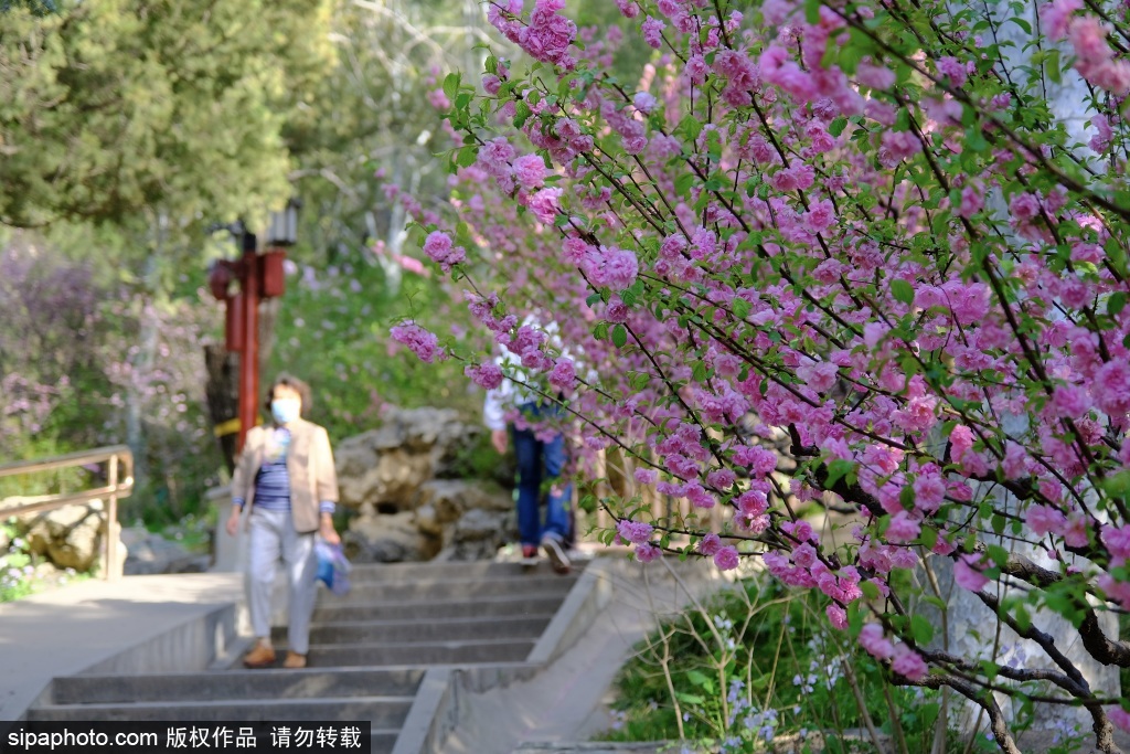 北京景山公园门票多少钱一张（景山公园景点介绍）