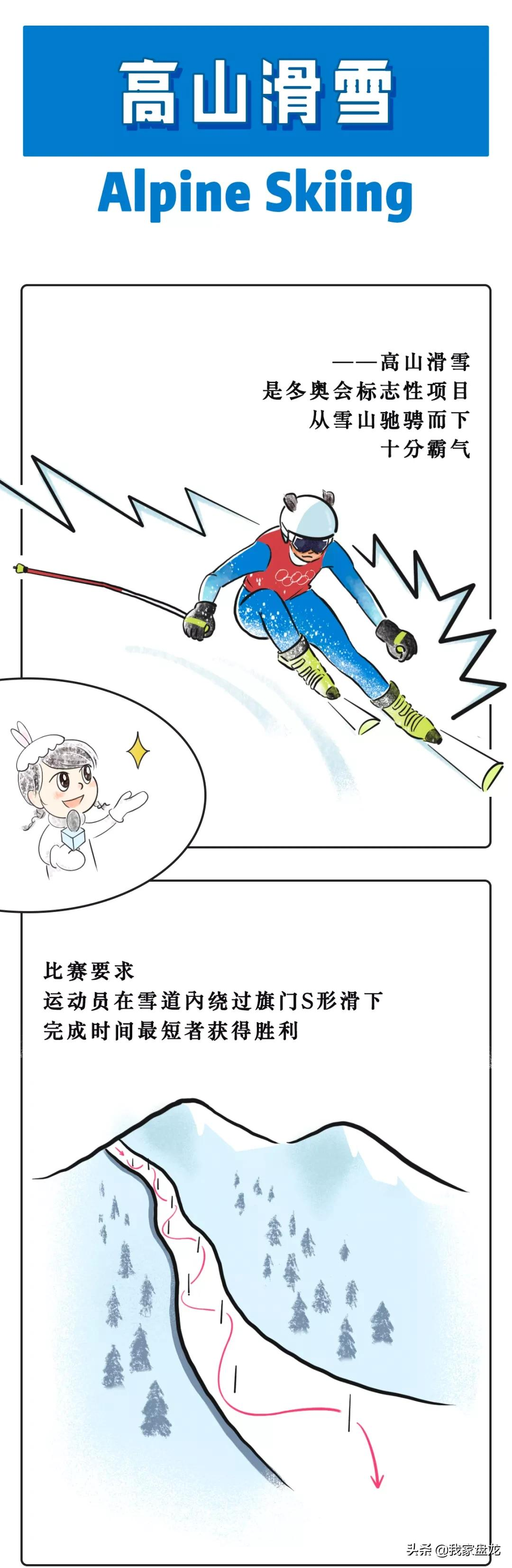 奥运会的图案一般有哪些(一条漫画带你看懂北京冬奥会15个比赛项目！)