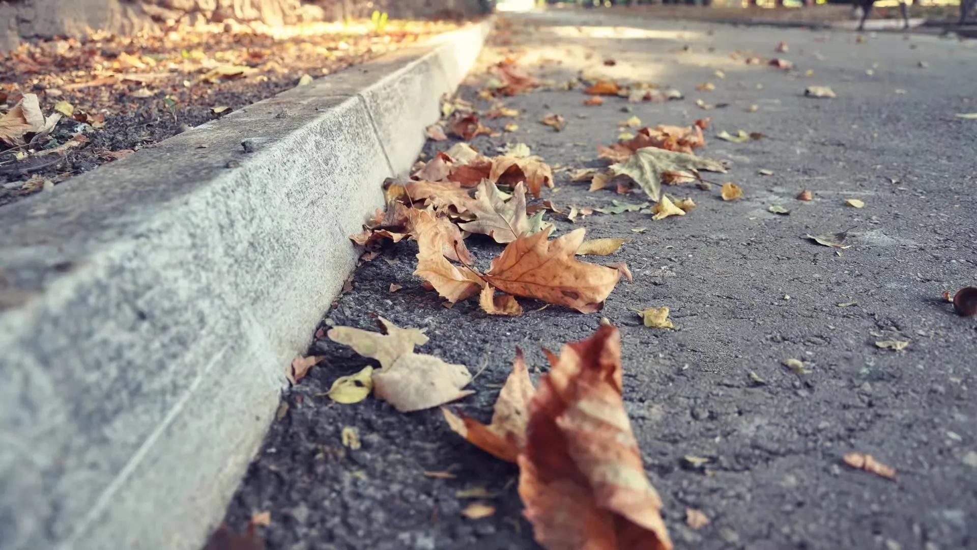 �����ܡ�ץס�����˵��ĵģ��������ڡ����ڡ�����Ů��