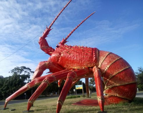 大龙虾拉里:一个身长50英尺的大家伙_外国渔业_西南渔业网 水花鱼 水