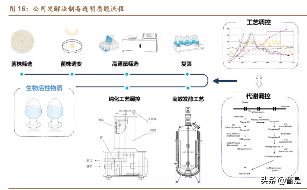 医美化妆品行业之华熙生物研究报告：龙头强α逐步兑现