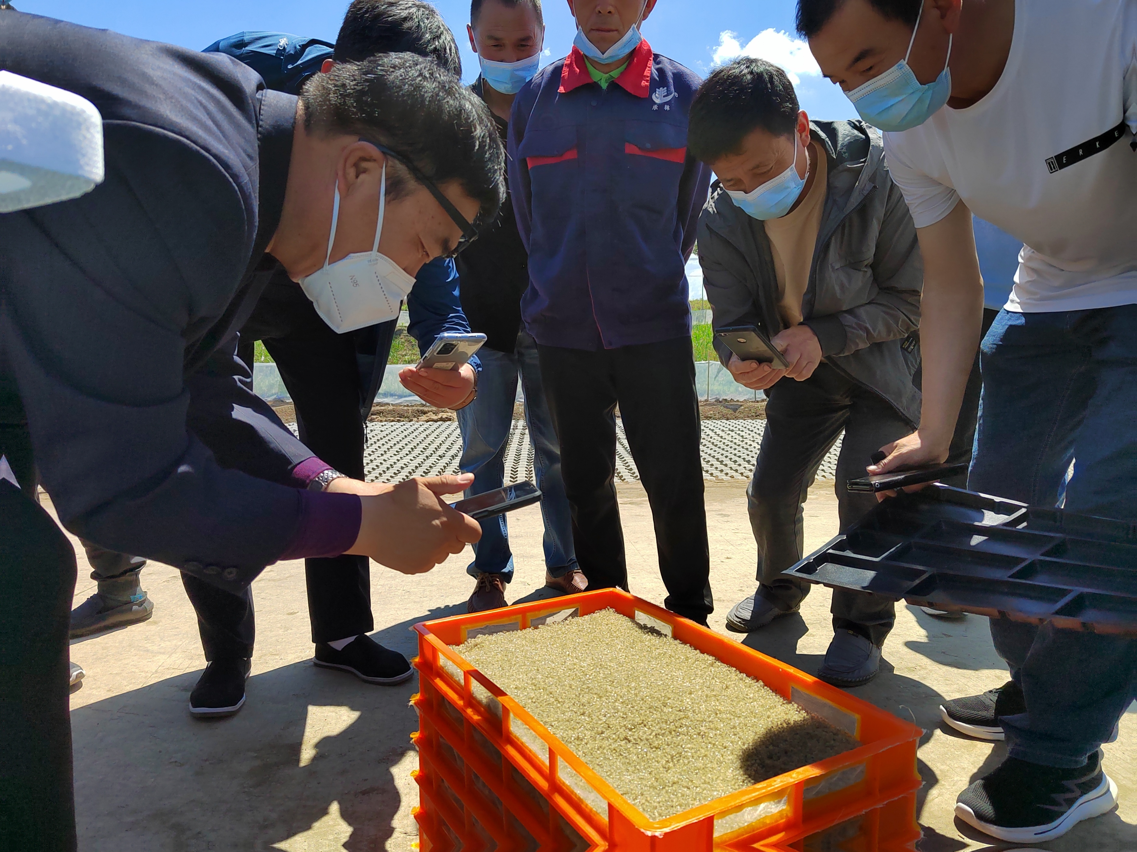 吉林省水稻产业“创新驿站”落户德惠