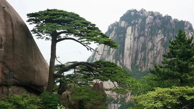 海到无边天作岸，山登绝顶我为峰，黄山