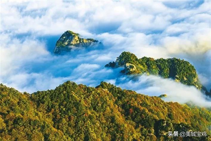 宝鸡文理学院如果更名并且升格一本院校，你们希望如何命名？