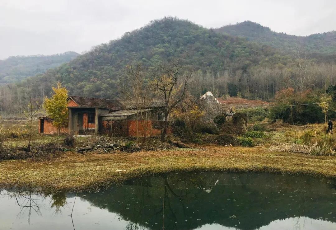 初冬秘境，大栎山24丩